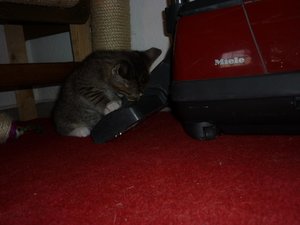 07.08.2010  (6 Wochen) 017.jpg