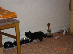 Alien-Max hat Hunger.jpg