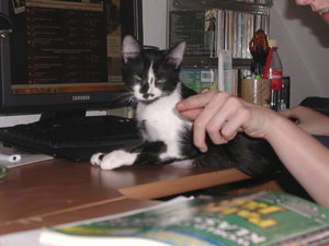 Bruno bei der Arbeit.JPG