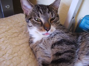 völlig fertig ..... einfach zu heiss 021.jpg