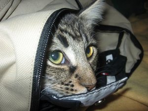 Bilder Fahrrad 307.jpg