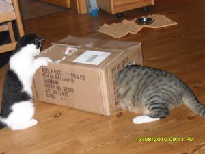 neue Mütze 3 002 [800x600].jpg