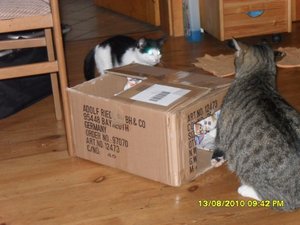 neue Mütze 3 003 [800x600].jpg