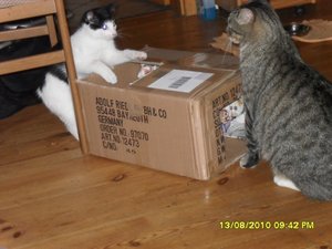 neue Mütze 3 004 [800x600].jpg