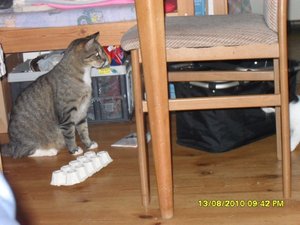 neue Mütze 3 006 [800x600].jpg