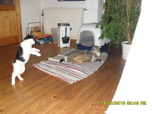 neue Mütze 3 007 [800x600].jpg