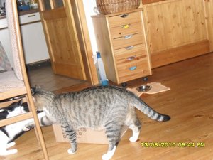 neue Mütze 3 008 [800x600].jpg