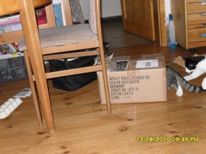 neue Mütze 3 009 [800x600].jpg