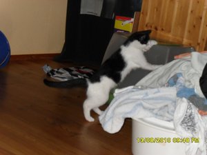 neue Mütze 3 013 [800x600].jpg