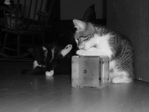 7 Wochen (3) 012.jpg