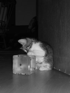 7 Wochen (3) 014.jpg