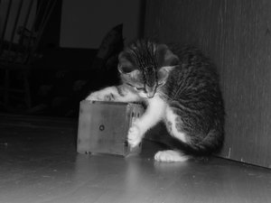 7 Wochen (3) 015.jpg