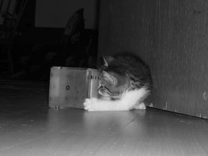 7 Wochen (3) 016.jpg