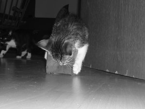 7 Wochen (3) 017.jpg