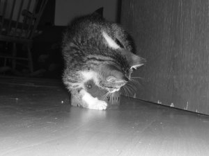 7 Wochen (3) 018.jpg