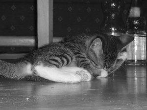 7 Wochen (3) 019.jpg