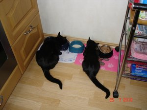 doppelter Hunger.jpg