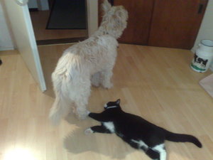 November2009 030.jpg