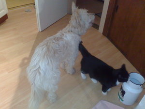 November2009 031.jpg