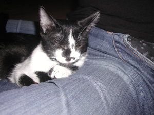 Bruno Schmusen 2.JPG