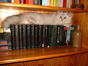 völlig fertig ..... einfach zu heiss 045.jpg