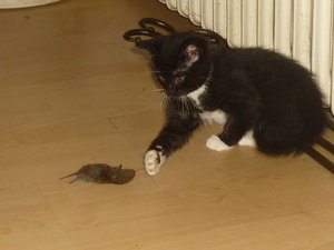 18.August 2010 039.jpg