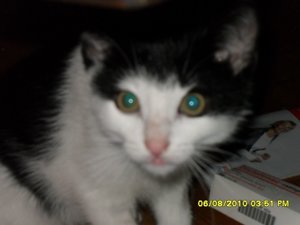 neue Mütze 2 094 [800x600].jpg