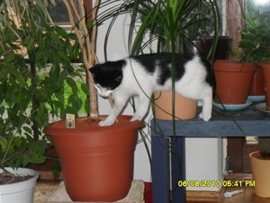 neue Mütze 2 093 [800x600].jpg