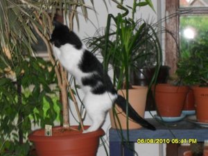 neue Mütze 2 096 [800x600].jpg