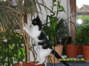 neue Mütze 2 097 [800x600].jpg