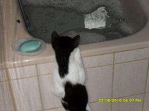 mütze vs tommy 042.jpg