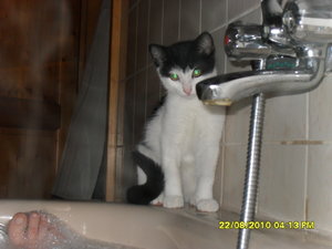 mütze vs tommy 046.jpg