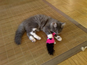 meine Rasenmäher 015.jpg