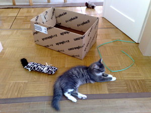 meine Rasenmäher 027.jpg