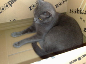 meine Rasenmäher 029.jpg