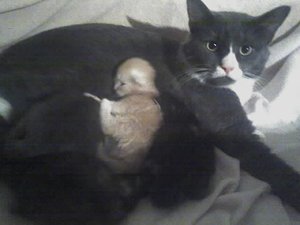 6.5.10 Sera u Bailey (5).jpg