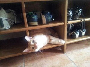 uploadfromtaptalk1369375028164.jpg uploadfromtaptalk1369375028164.jpg