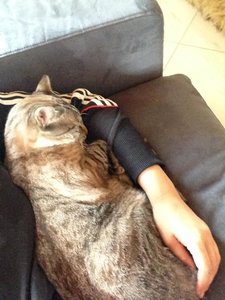 ImageUploadedByTapatalk 21369493595.104279.jpg