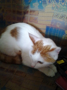 2013-05-26 11.48.08.jpg