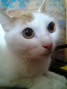 2013-05-26 11.48.15.jpg