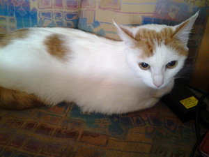 2013-05-26 12.03.28.jpg