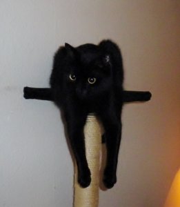 IMGP1602 (800x600).jpg