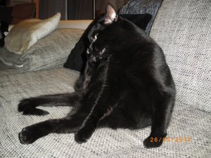 IMGP1827 (800x600).jpg