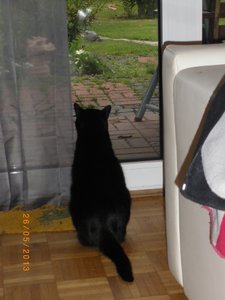 IMGP1829 (768x1024).jpg