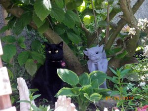 IMGP1835 (1024x768).jpg