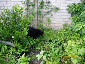 IMGP1840 (1024x768).jpg