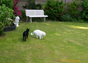 IMGP1846 (1024x768).jpg