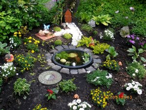 IMGP1843 (1024x768).jpg