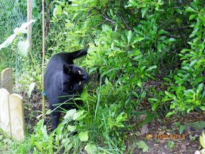 IMGP1851 (1024x768).jpg