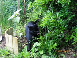 IMGP1852 (1024x768).jpg